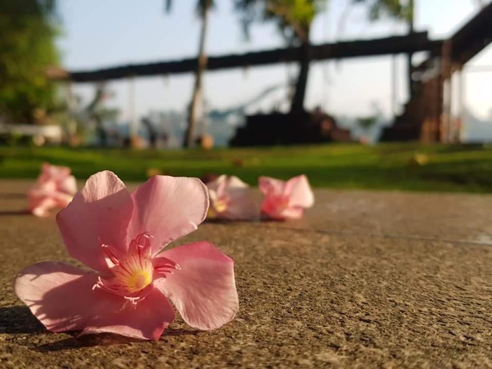 Ambadis Villas Kodungallur Экстерьер фото
